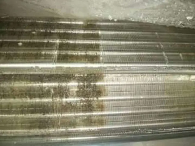 【沖縄県】複数割引◉カビ対策W洗浄◉自然派エコ洗剤使用赤ちゃん安心◉換気口洗浄中サービスの画像