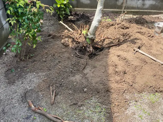 植木の伐採サービスの画像