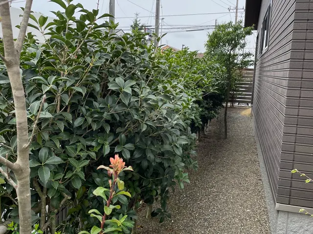 プロの技術でご満足いただけるように心を込めて作業いたしますサービスの画像