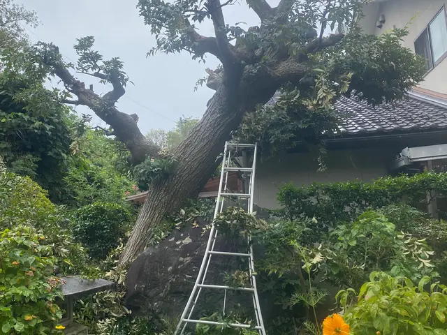 安心の損害保険加入済み◎100％自社対応◎営業時間外もご相談ください！サービスの画像