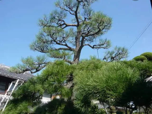 安心の損害保険加入済み◎100％自社対応◎営業時間外もご相談ください！サービスの画像