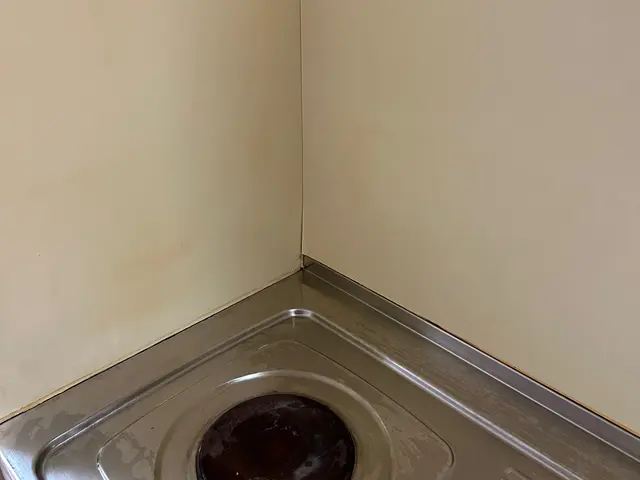 【水回りはこれで完璧！】シンクの水垢から換気扇内部まで徹底的にまるごとすっきり！サービスの画像