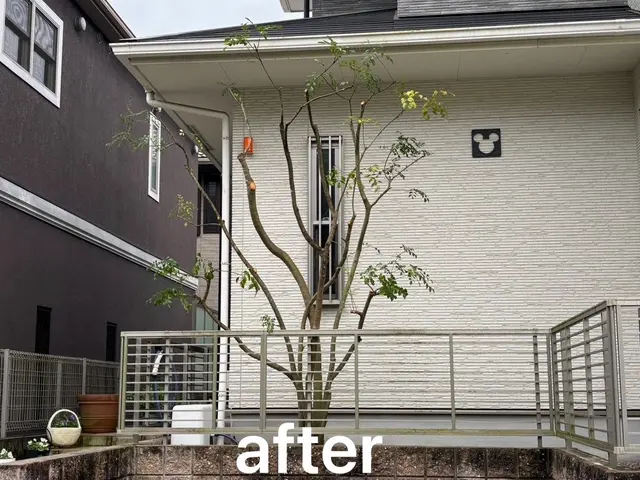 庭木の剪定・お手入れサービス【丁寧・安心対応】まずは無料のお見積を！サービスの画像