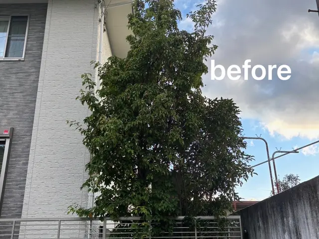 庭木の剪定・お手入れサービス【丁寧・安心対応】まずは無料のお見積を！サービスの画像