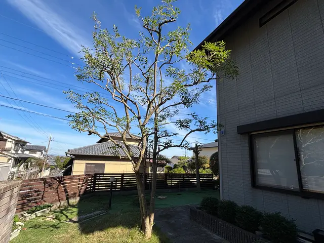 庭木の剪定・お手入れサービス【丁寧・安心対応】まずは無料のお見積を！サービスの画像