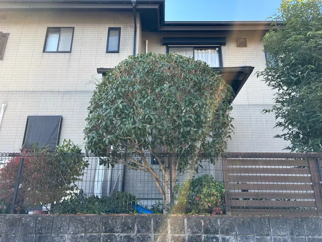 庭木の剪定・お手入れサービス【丁寧・安心対応】まずは無料のお見積を！サービスの画像