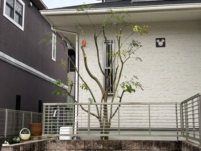 庭木の剪定・お手入れサービス【丁寧・安心対応】まずは無料のお見積を！サービスの画像