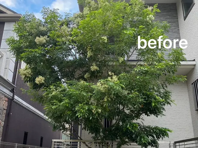 庭木の剪定・お手入れサービス【丁寧・安心対応】まずは無料のお見積を！サービスの画像