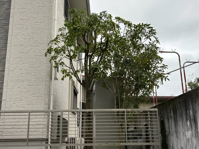 庭木の剪定・お手入れサービス【丁寧・安心対応】まずは無料のお見積を！サービスの画像