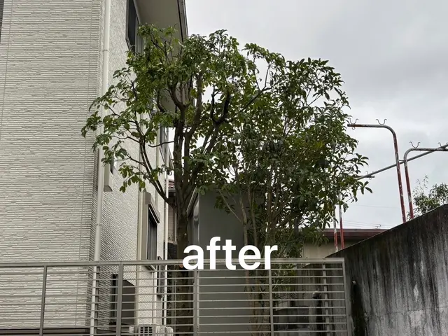 庭木の剪定・お手入れサービス【丁寧・安心対応】まずは無料のお見積を！サービスの画像