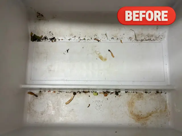 食べても問題ないほどの自然派洗剤で安心！冷蔵庫がピカピカに！サービスの画像