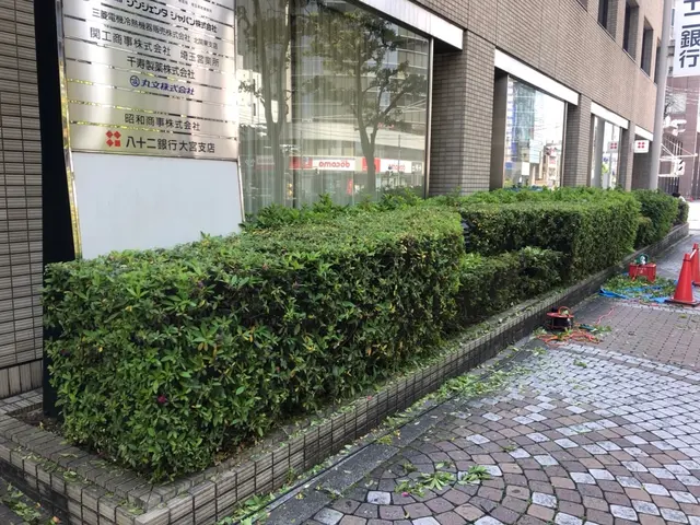 15年経験・3000件超の実績！庭木剪定は技能士にお任せ！サービスの画像