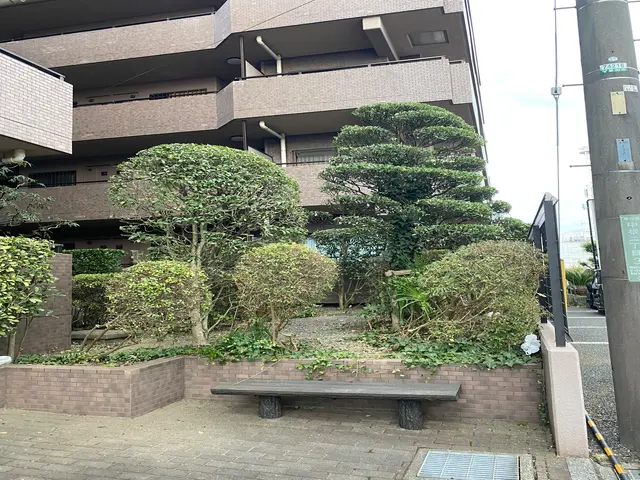 15年経験・3000件超の実績！庭木剪定は技能士にお任せ！サービスの画像