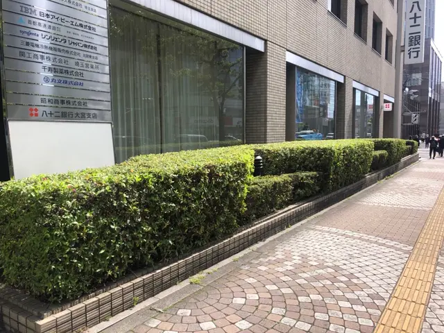 15年経験・3000件超の実績！庭木剪定は技能士にお任せ！サービスの画像