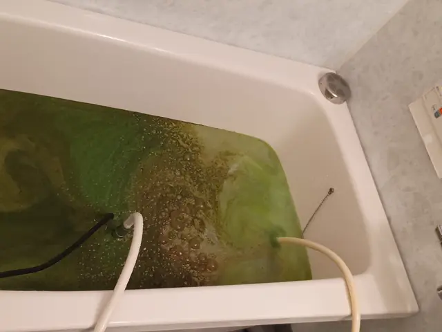 配管内に潜む『雑菌・皮脂・ヌメリ・石鹸カス』をドロドロッと洗浄します！サービスの画像