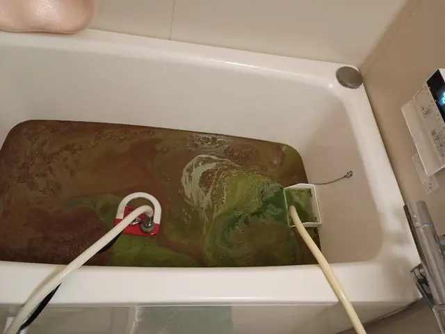 配管内に潜む『雑菌・皮脂・ヌメリ・石鹸カス』をドロドロッと洗浄します！サービスの画像