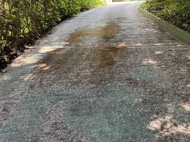 落ち葉でお困りの方へ◆福岡の暮らしを支えるプロが丁寧に落ち葉清掃をお手伝い！サービスの画像
