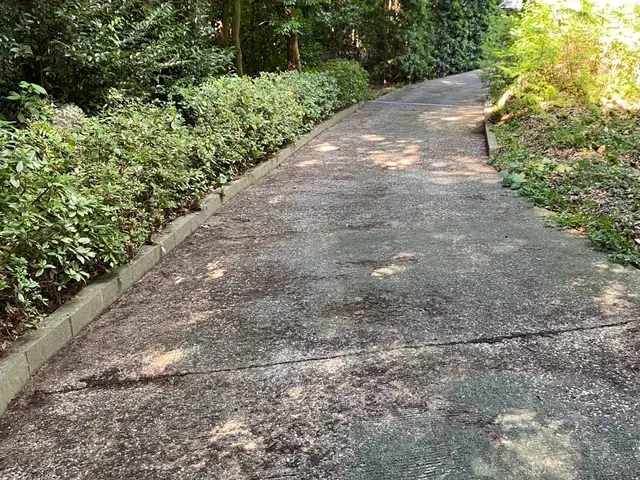 落ち葉でお困りの方へ◆福岡の暮らしを支えるプロが丁寧に落ち葉清掃をお手伝い！サービスの画像