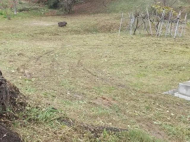 【地域密着】福島市から伺います。お家のお困りごとご相談ください！サービスの画像