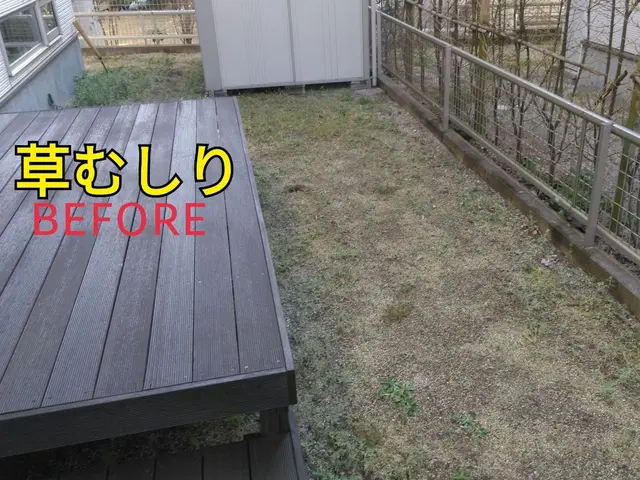 10平米から草むしり作業承ります。出張費込。年中無休。サービスの画像