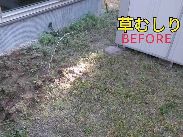 10平米から草むしり作業承ります。出張費込。年中無休。サービスの画像