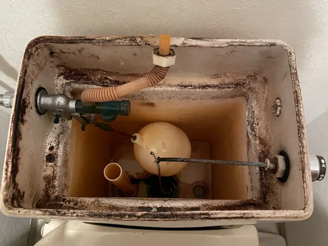 【損害保険加入済】プロの技術でご満足いただけるように心を込めて作業いたしますサービスの画像