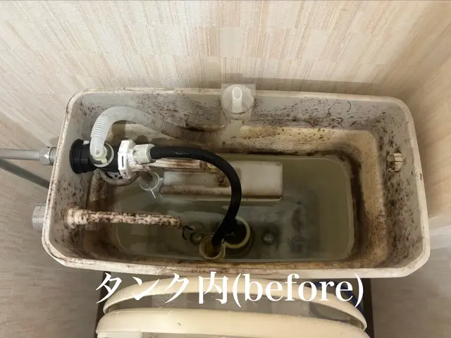 【年中無休で対応】タンク内も対応可◯気になるカビや臭いに◯損害保険もありサービスの画像