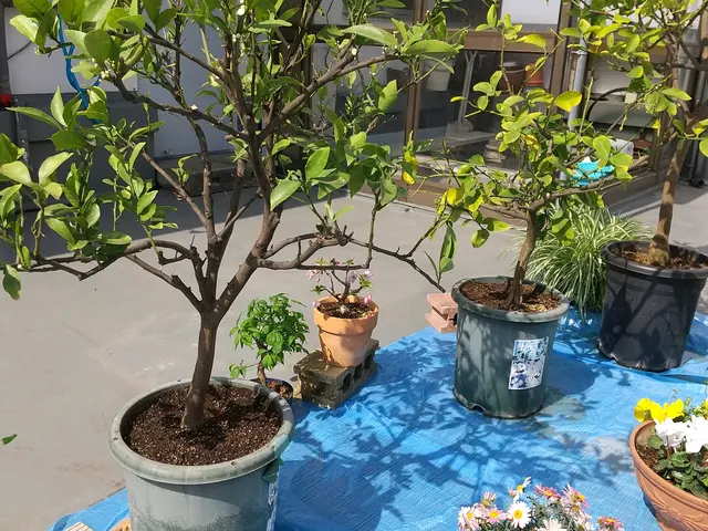 【職人歴４３年！】実績豊富な店長の私がお伺います！駐車代は当店負担！サービスの画像