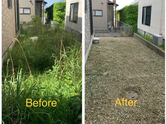 草刈り作業サービスの画像