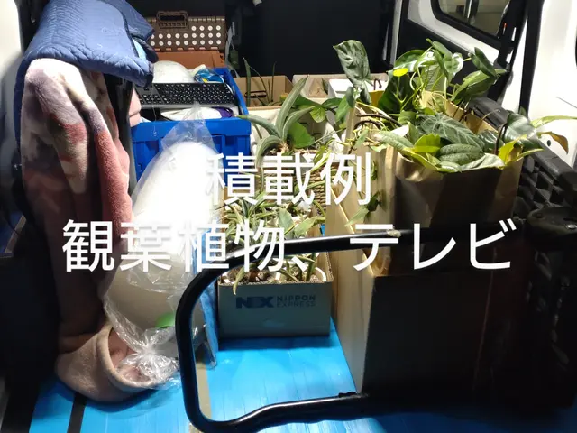 九州圏発着、学生、単身の方の引っ越しを安心・安全・丁寧・リーズナブルに!!サービスの画像