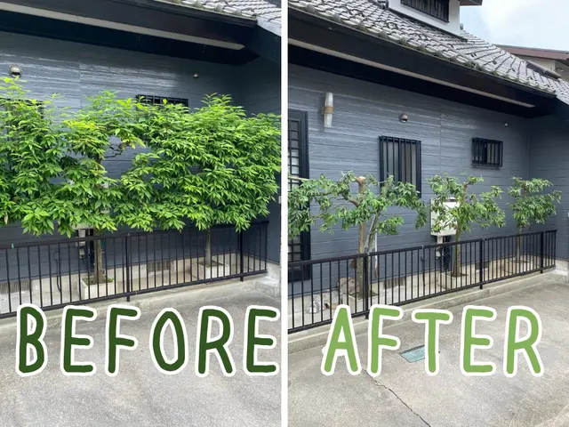 【岐阜】あなたの街の植木屋さん。大切な庭木のための剪定サービスサービスの画像