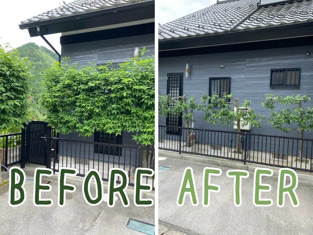 【岐阜】あなたの街の植木屋さん。大切な庭木のための剪定サービスサービスの画像