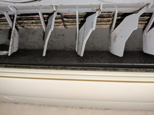 【消臭抗菌コート無料サービス中】駐車場代当店負担!!店長がお伺いします！サービスの画像