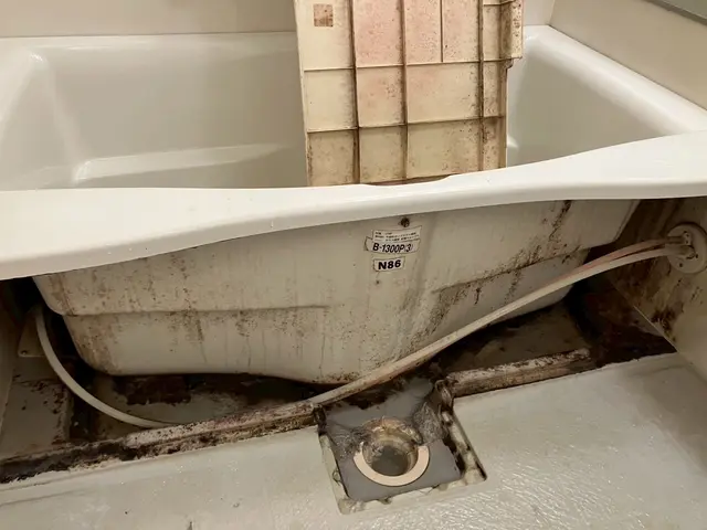 エプロン内も年末大掃除！！防カビ3,000円→0円！！！サービスの画像