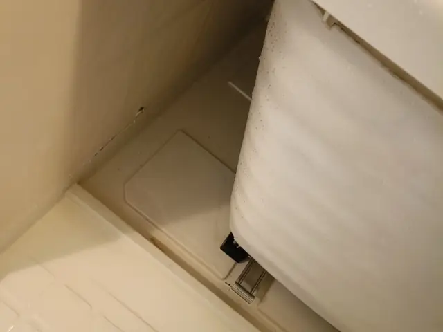 床、扉、壁、天井、エプロン内も丸ごとお掃除！明るい空間に大変身〜！！サービスの画像