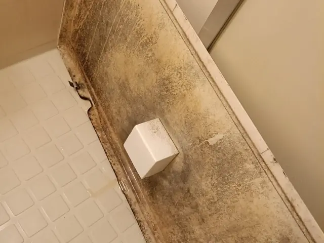 全国一位にも！年内空きあとわずか！今だけ防カビ無料〜！サービスの画像