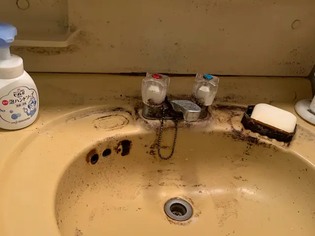 〈洗面台一式クリーニング〉洗面化粧台ピカピカ清掃！サービスの画像