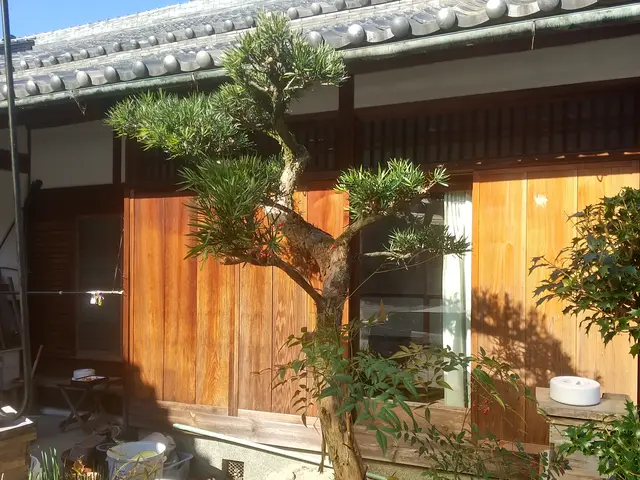 ◆刈り込まない自然風な剪定でお手入れしやすいサイズ感に戻し優しく柔らかい庭木に◆サービスの画像