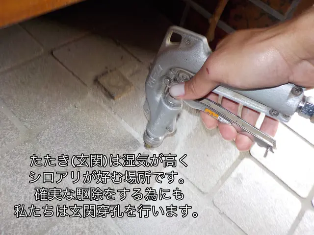 格安駆除ならAterra☆安心安全の天然薬剤！即日対応も可◎カビの予防にも〇サービスの画像