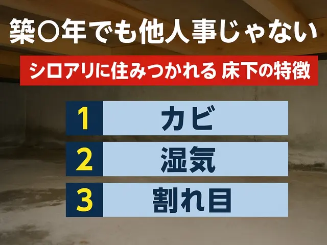 格安駆除ならAterra☆安心安全の天然薬剤！即日対応も可◎カビの予防にも〇サービスの画像