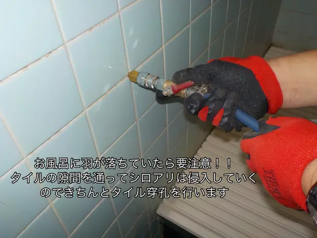 格安駆除ならAterra☆安心安全の天然薬剤！即日対応も可◎カビの予防にも〇サービスの画像