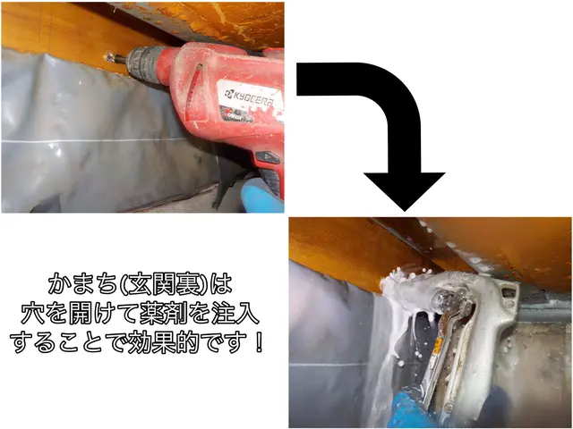 格安駆除ならAterra☆安心安全の天然薬剤！即日対応も可◎カビの予防にも〇サービスの画像