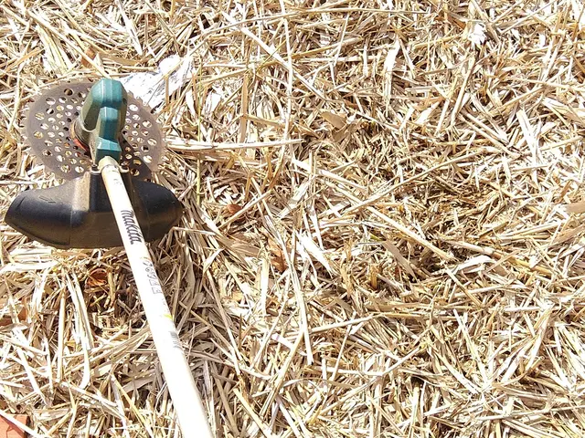 ◆三島市からお伺いします◎営業時間外・対応地域外も対応可能サービスの画像