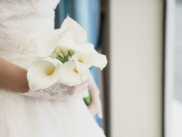 【東京中心】プロフォトグラファーがブライダルスナップ（挙式・披露宴）撮影をします