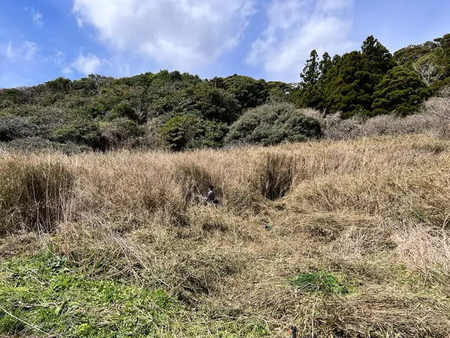 広い平坦地はお安く出来ます！見積もり無料！サービスの画像