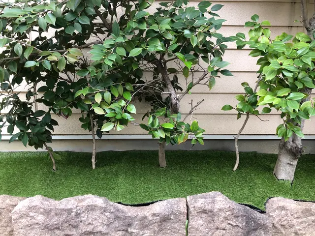 どんな形のお庭でも綺麗に施工可能！来年の草の時期に向けて秋冬の間にしましょう！サービスの画像