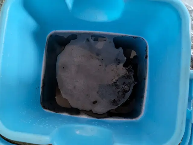 【まとめてお得】子育て世代も安心！パパ店長が直接お伺いします！サービスの画像