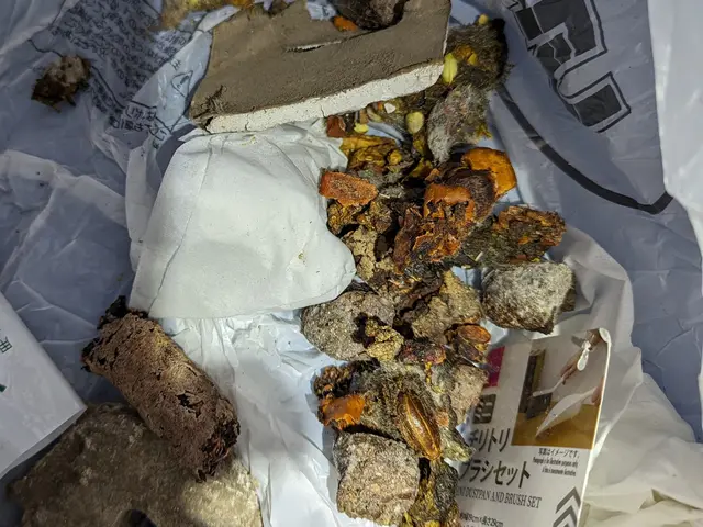 ハクビシン・アライグマ・イタチ駆除のスペシャリスト！調査にお時間を頂きます。サービスの画像