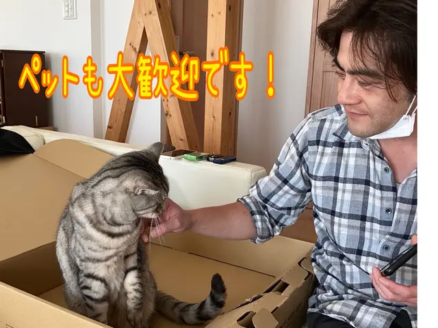 ◉ルームエアコンcleaning◉清潔・快適な生活をサポート☆複数台割引あり☆サービスの画像