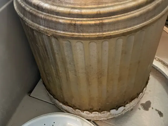 洗濯槽のカビや汚れ落としませんか？サービスの画像